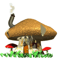 champignon
