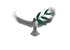 cigogne
