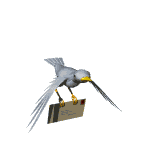 cigogne